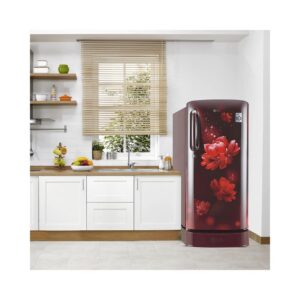 LG 190 L 4 Star Inverter Direct-Cool Single Door Refrigerator